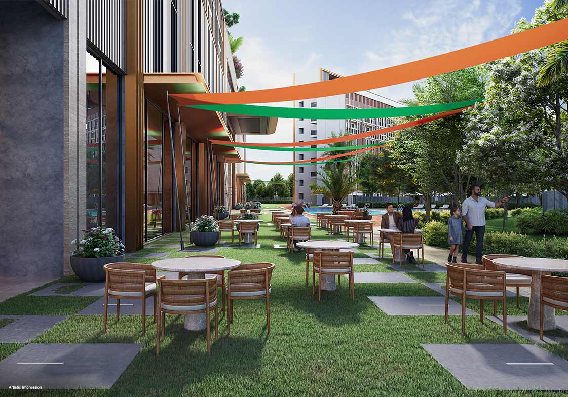 The Levante - Image 5